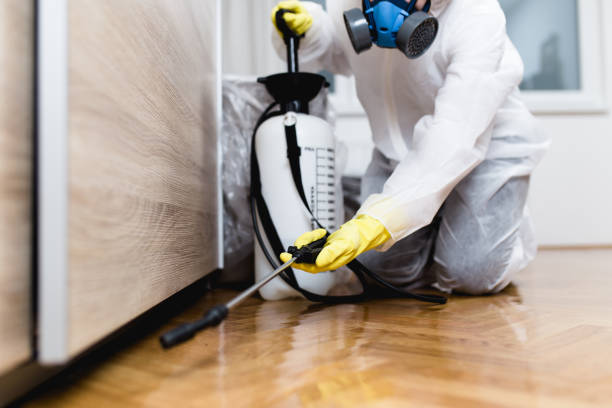 Best Best Pest Control Companies  in Bayshore Gardens, FL