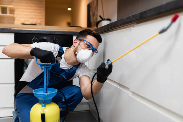 Trusted Bayshore Gardens, FL Pest Control Experts