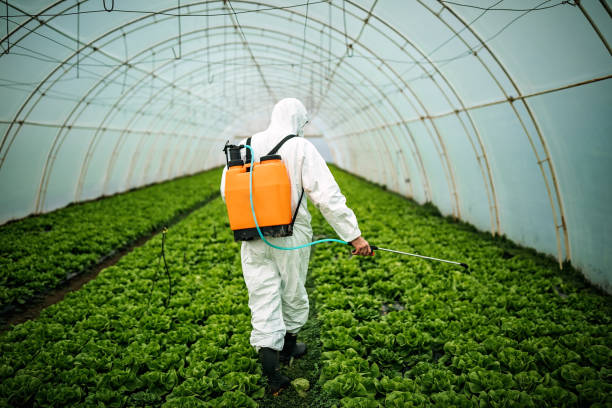 Best Ant Control Services  in Bayshore Gardens, FL