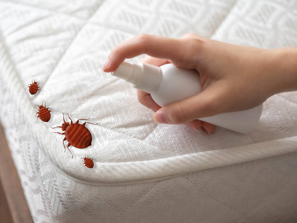 Best Pest Control for Businesses  in Bayshore Gardens, FL