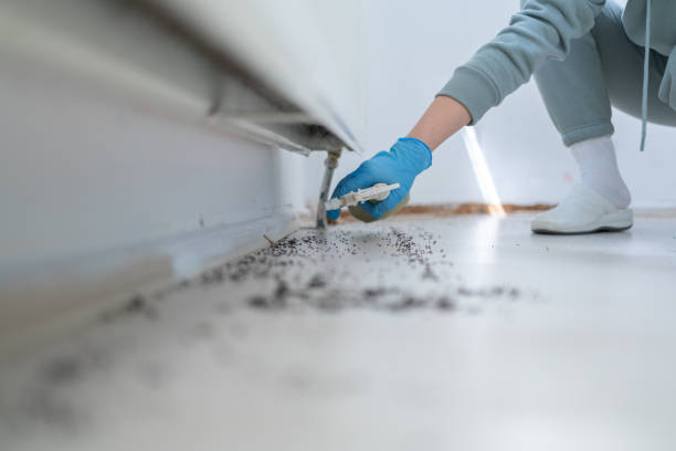 Best Bed Bug Extermination  in Bayshore Gardens, FL